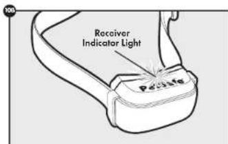106 Receiver Indicator Light Pacitor