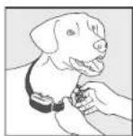 PETSAFE YardMax PIG00-15958 - How It Works - 3