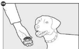 PETSAFE YardMax PIG00-15958 - Traditional Mode (B) Installation - 2