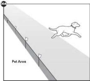 20m Pet Area