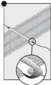 PETSAFE YardMax PIG00-15958 - Place the Boundary Flags - 2
