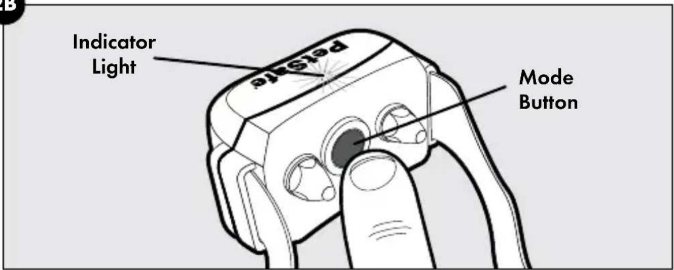 Indicator Light PetState Mode Button