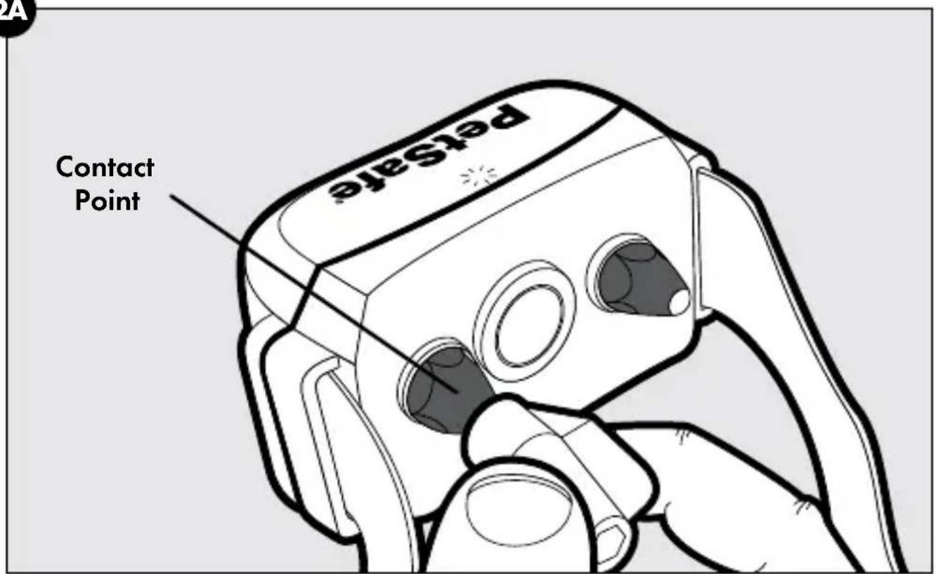 PetState Contact Point
