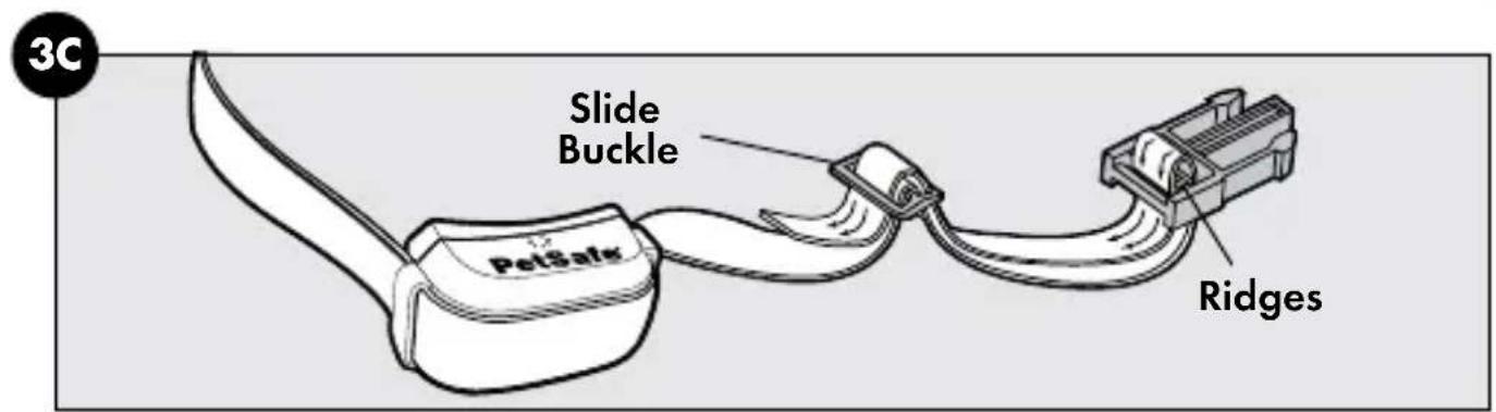 3C Slide Buckle PetSafe Ridges