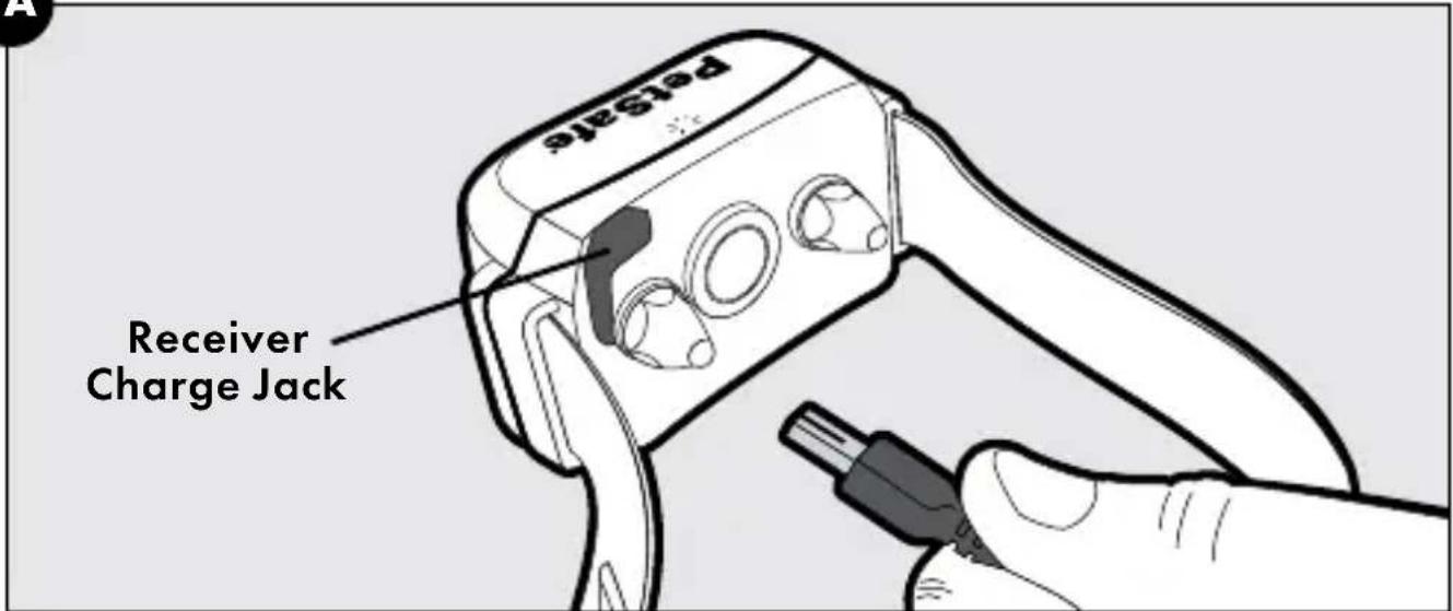 PetaSize Receiver Charge Jack