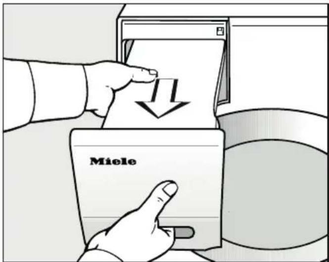 Miele