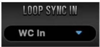 LOOP SYNC IN WC In