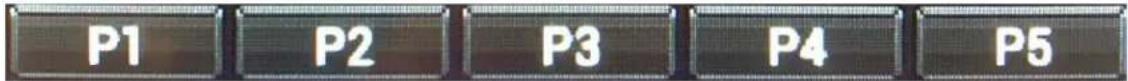P1 P2 P3 P4 P5