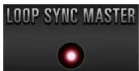 LOOP SYNC MASTER