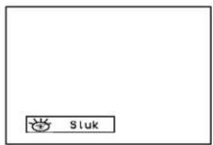 Sluk