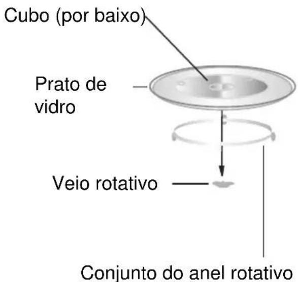Cubo (por baixo) Prato de vidro Veio rotativo Conjunto do anel rotativo