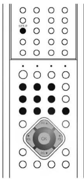 LG KF-21FC70RX - To change the password - 1