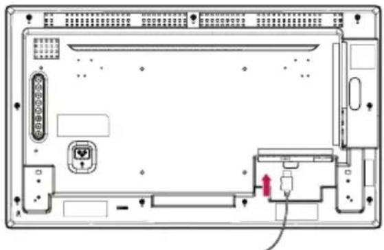 LG 55LS53A - Tilslutning af højttalere - 1