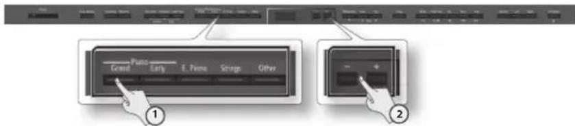 ROLAND DP-90 - Vælg lyde - 1