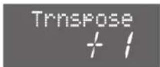 ROLAND DP-90 - Transponering - 2