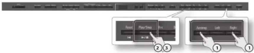 ROLAND DP-90 - Optag venstre hånd - 1