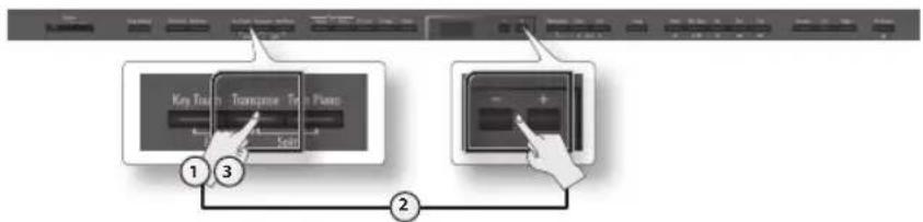 ROLAND DP-90 - Transponering - 1
