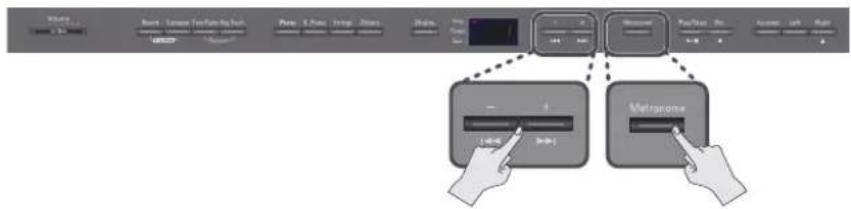 ROLAND DP-990F - Metronom - 2