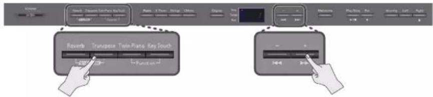 ROLAND DP-990F - Sangens tempo - 2