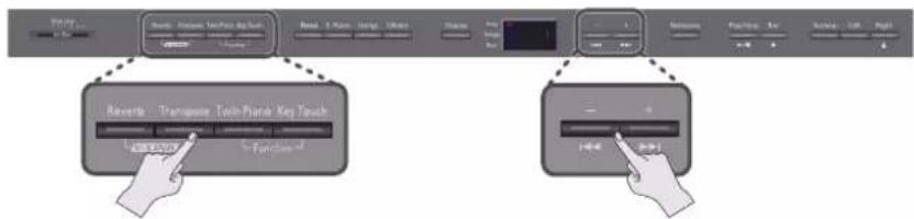 ROLAND DP-990F - Rediger - 1