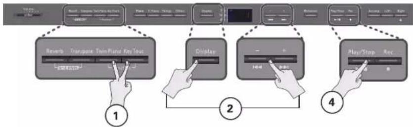 ROLAND DP-990F - Gem din optagelse - 1