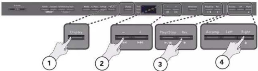 ROLAND DP-990F - Optag hver hånd for sig - 1