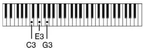 ROLAND RS-5 - ARPEGGIO - 2