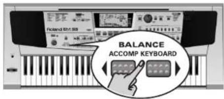 ROLAND EM-55 - Balance - 1