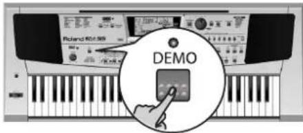 ROLAND EM-55 - Demosangene - 1