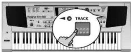 ROLAND EM-55 - Session Partner - 3