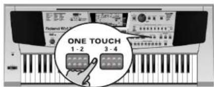 ROLAND EM-55 - One Touch - 1