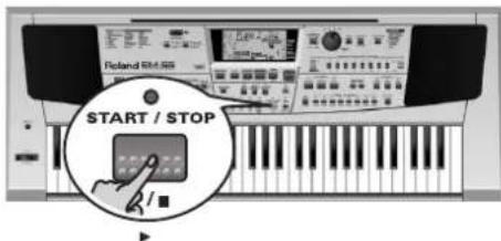 ROLAND EM-55 - Opstilling - 1