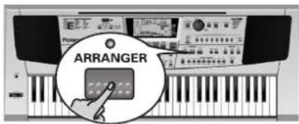 ROLAND EM-55 - Session Partner - 2