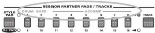 ROLAND EM-55 - Session Partner - 1