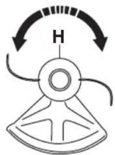 H