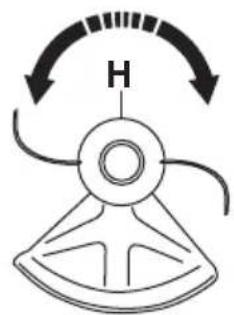 H