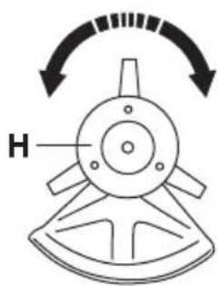 H