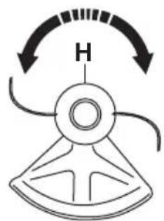 H