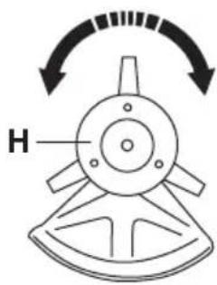 H