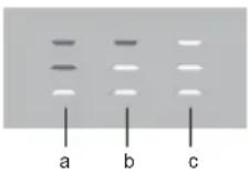 GORENJE EC8647W - Stegning med stegetermometeret (afhænger af modellen) - 5