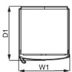 D1 W1
