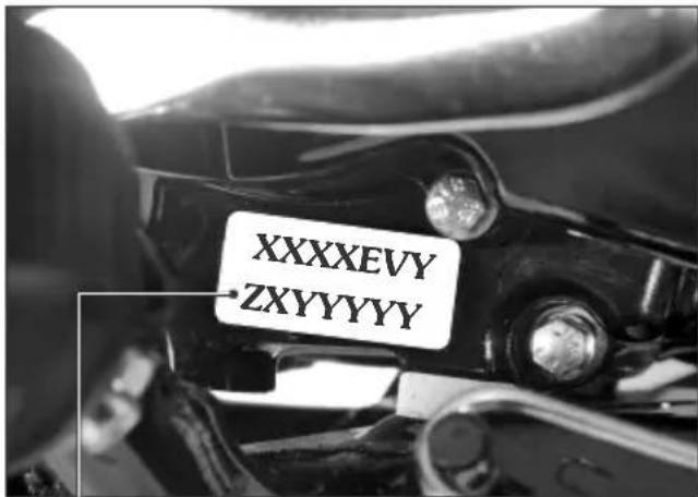 XXXXEVY ZXYYYYY