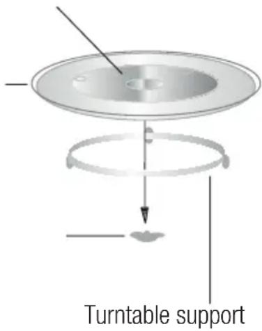 Turntable support