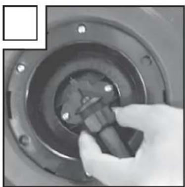 FLORABEST IAN 70720 - - Disposal - 2
