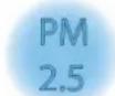 Thermex Puremex 2 - Air quality indicator (PM2.5) - 3