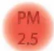 Thermex Puremex 2 - Air quality indicator (PM2.5) - 4
