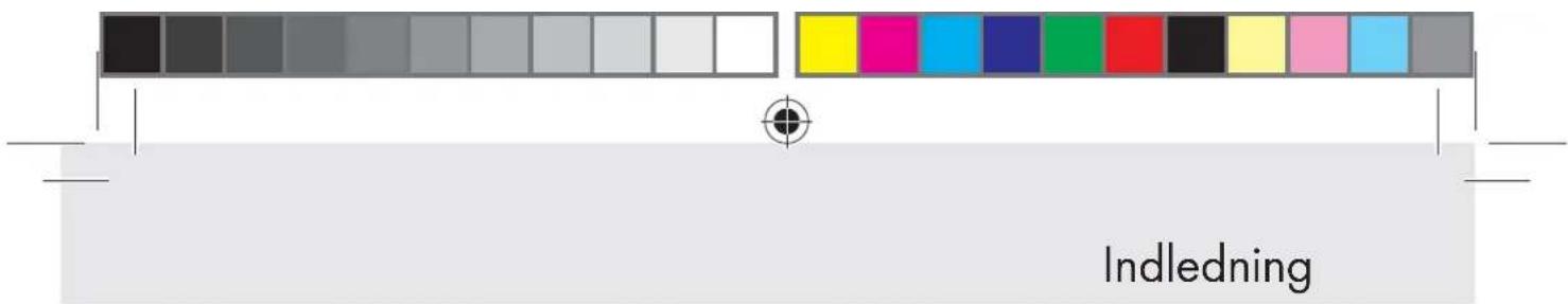 Indledning