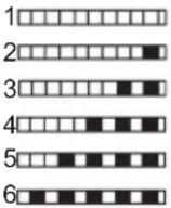 GRAM DS 6100/1 - Teststrip - 5