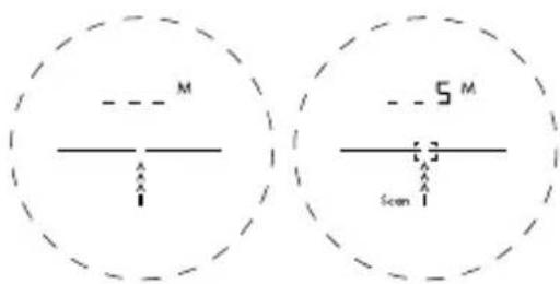 M 5 M Scan
