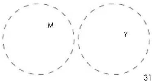 M Y 31